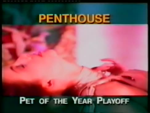 Penthouse - haustier des jahres play-off 1995